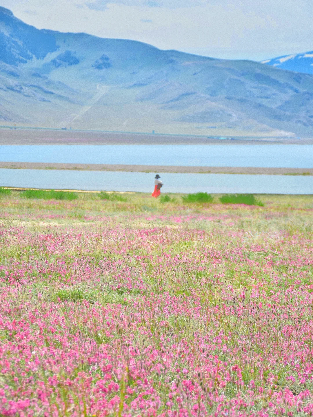 接下来几个月的新疆，每一张都是童话世界！！！