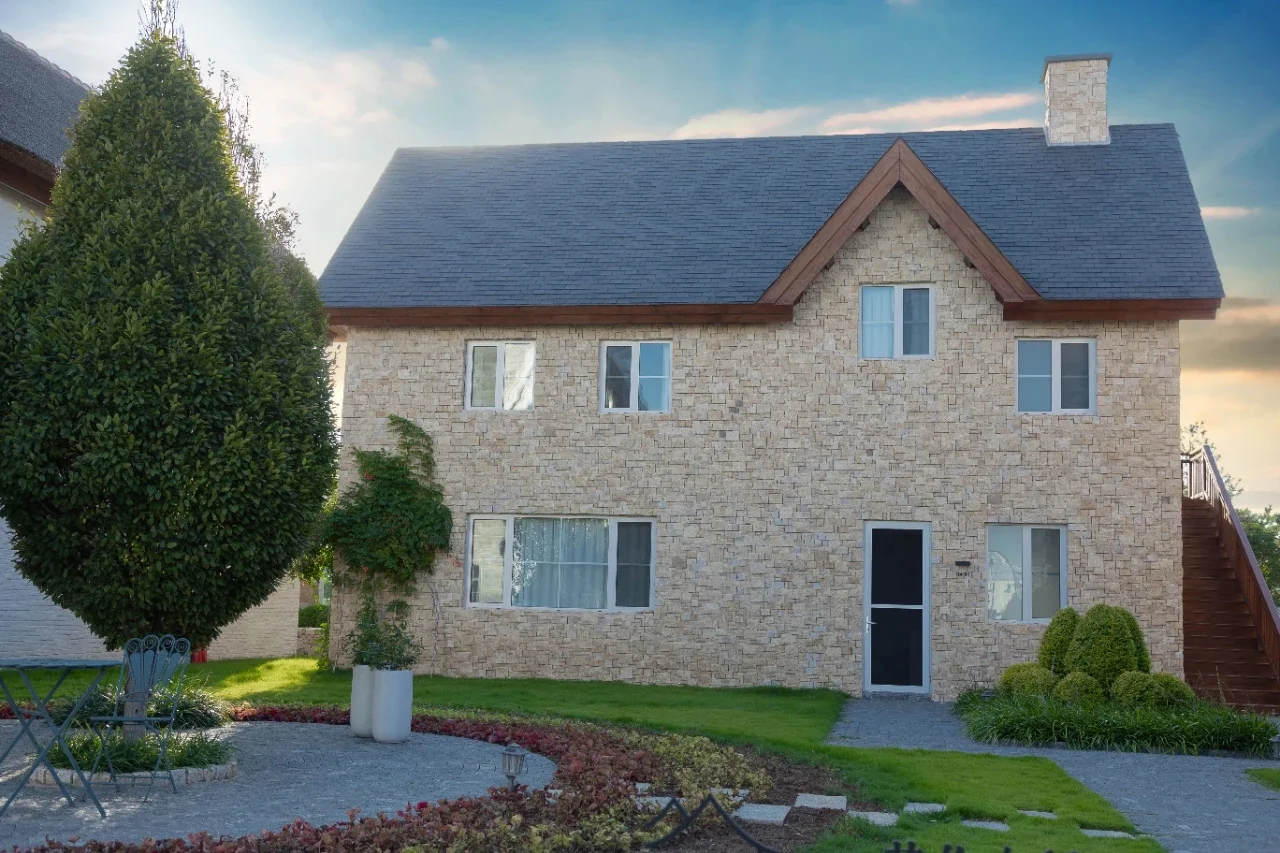 这里不是荷兰！是临沂！！！！