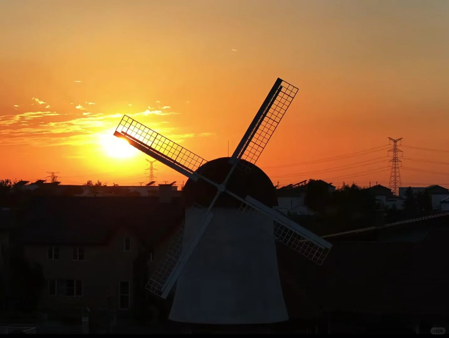 这里不是荷兰！是临沂！！！！