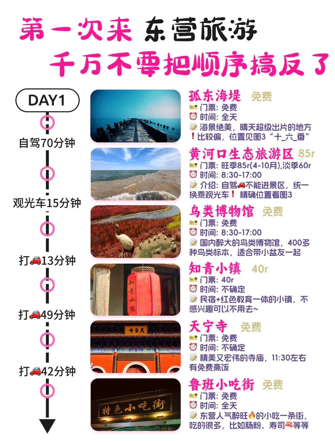 往返东营十几次，最喜欢的旅游路线💯•