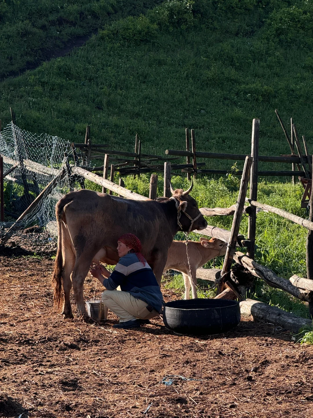 五月底的阿勒泰live