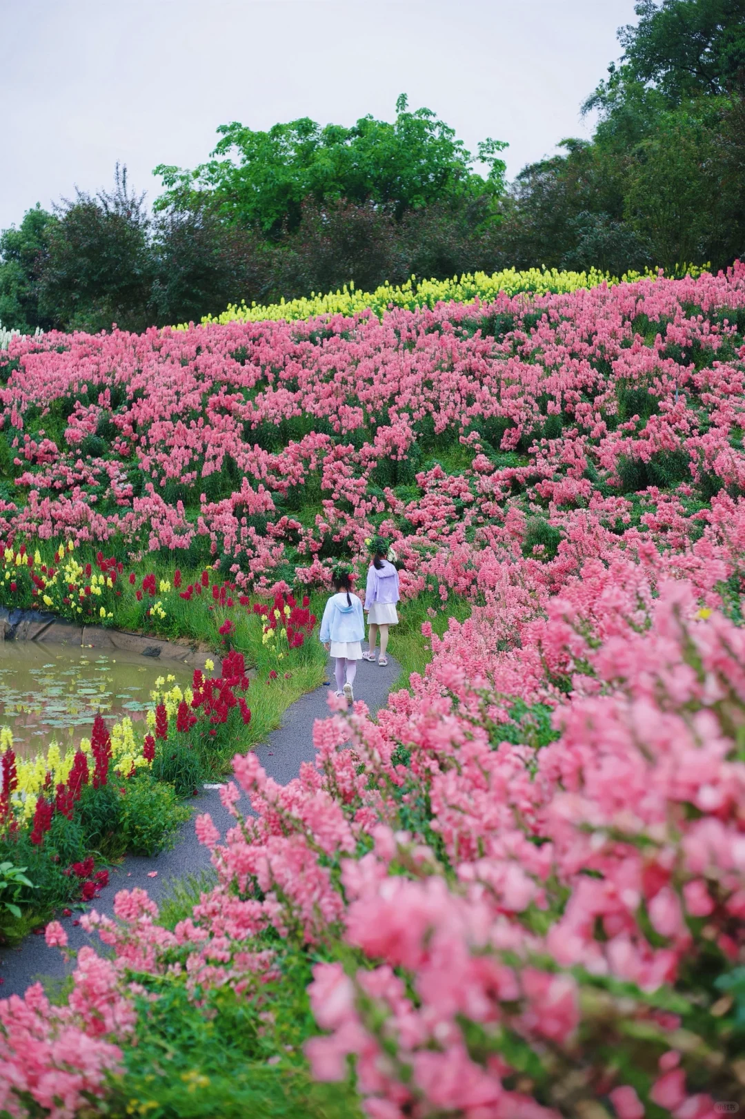 五一假期山城好去处🌷请留1️⃣天给这里‼️