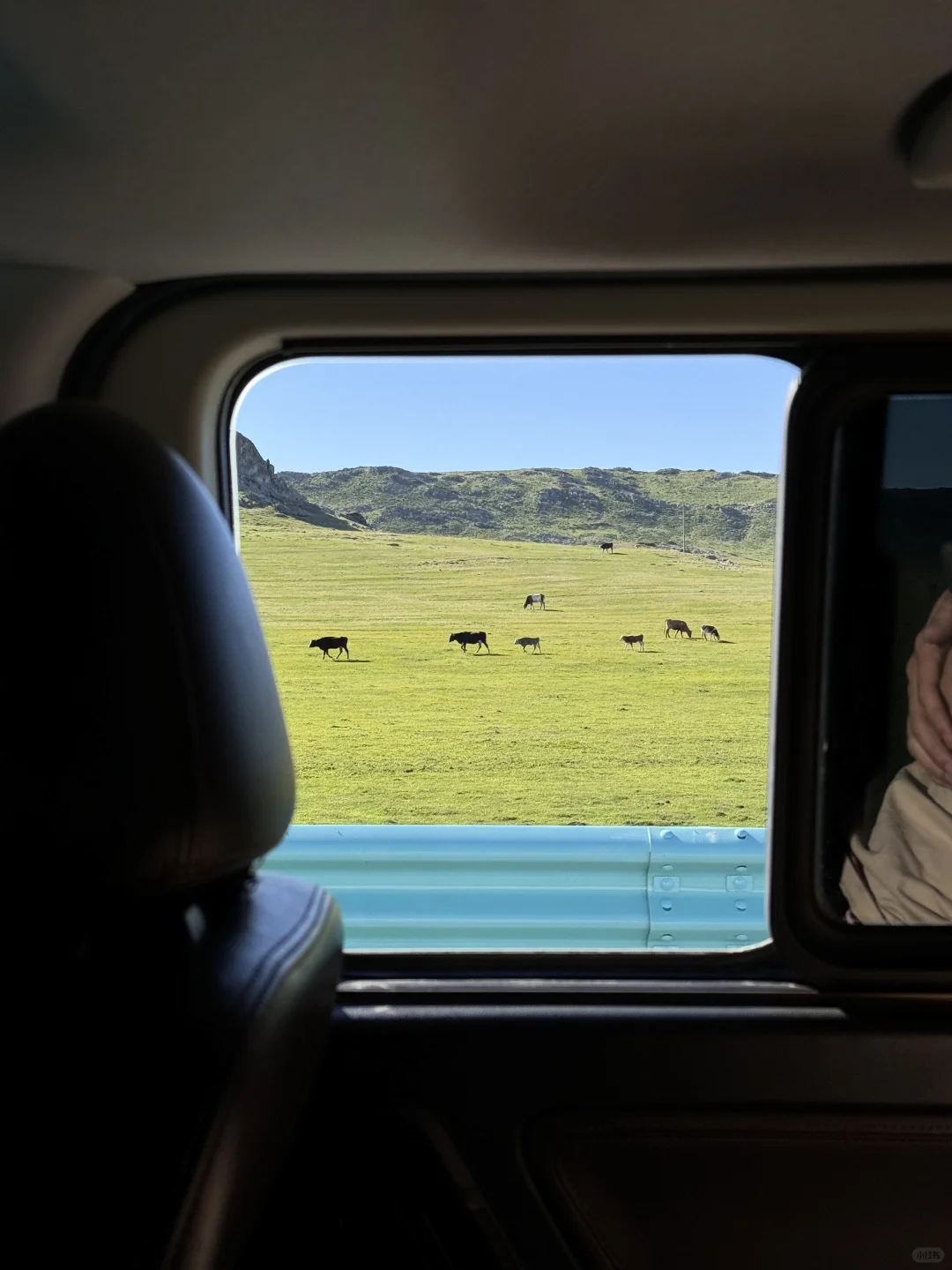 五月底的阿勒泰live