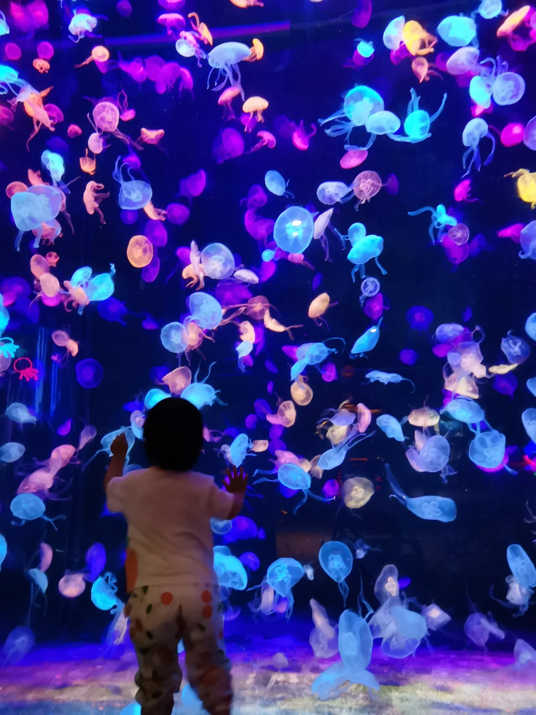 带娃走遍全国后，6 岁孩子眼里最喜欢的城市