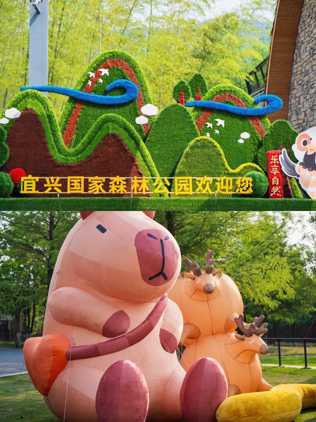 五一反向旅游赢麻了❗️玫瑰瀑布➕竹海八段锦