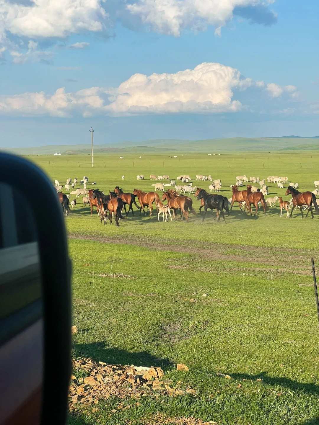开始攒钱！！夏天再去一次呼伦贝尔！！