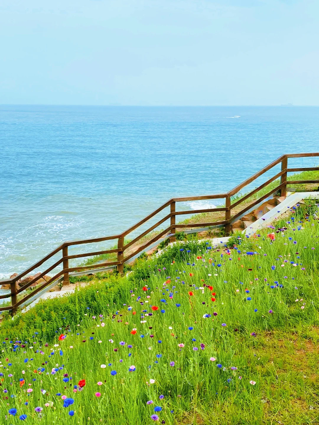 📍已经开始期待青岛的春天！
