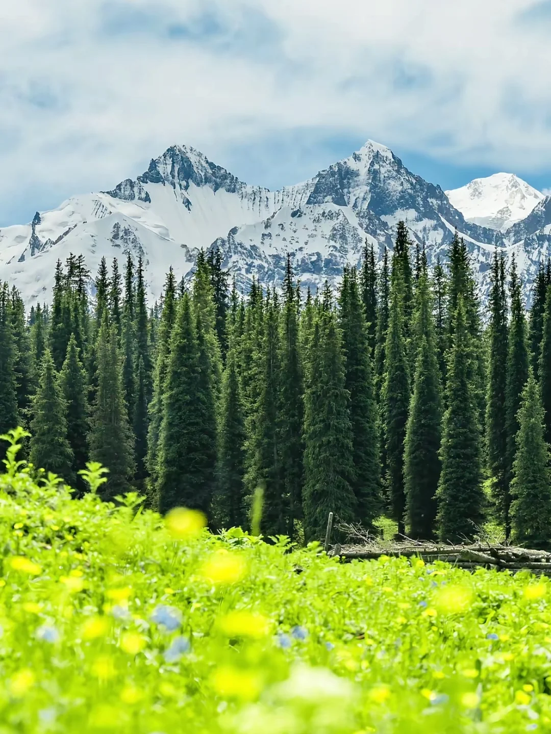 预计今夏新疆会爆火🔥的地方——夏塔🏔