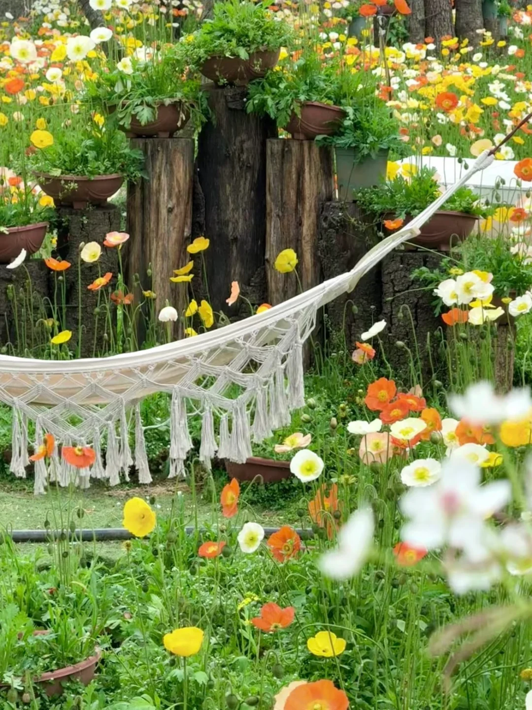 04女大📍独闯昆明 | 三天不走回头路攻略