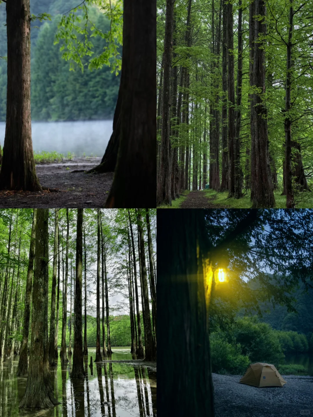 🌟五一反向出行攻略｜人少避暑的6个宝藏地🌟