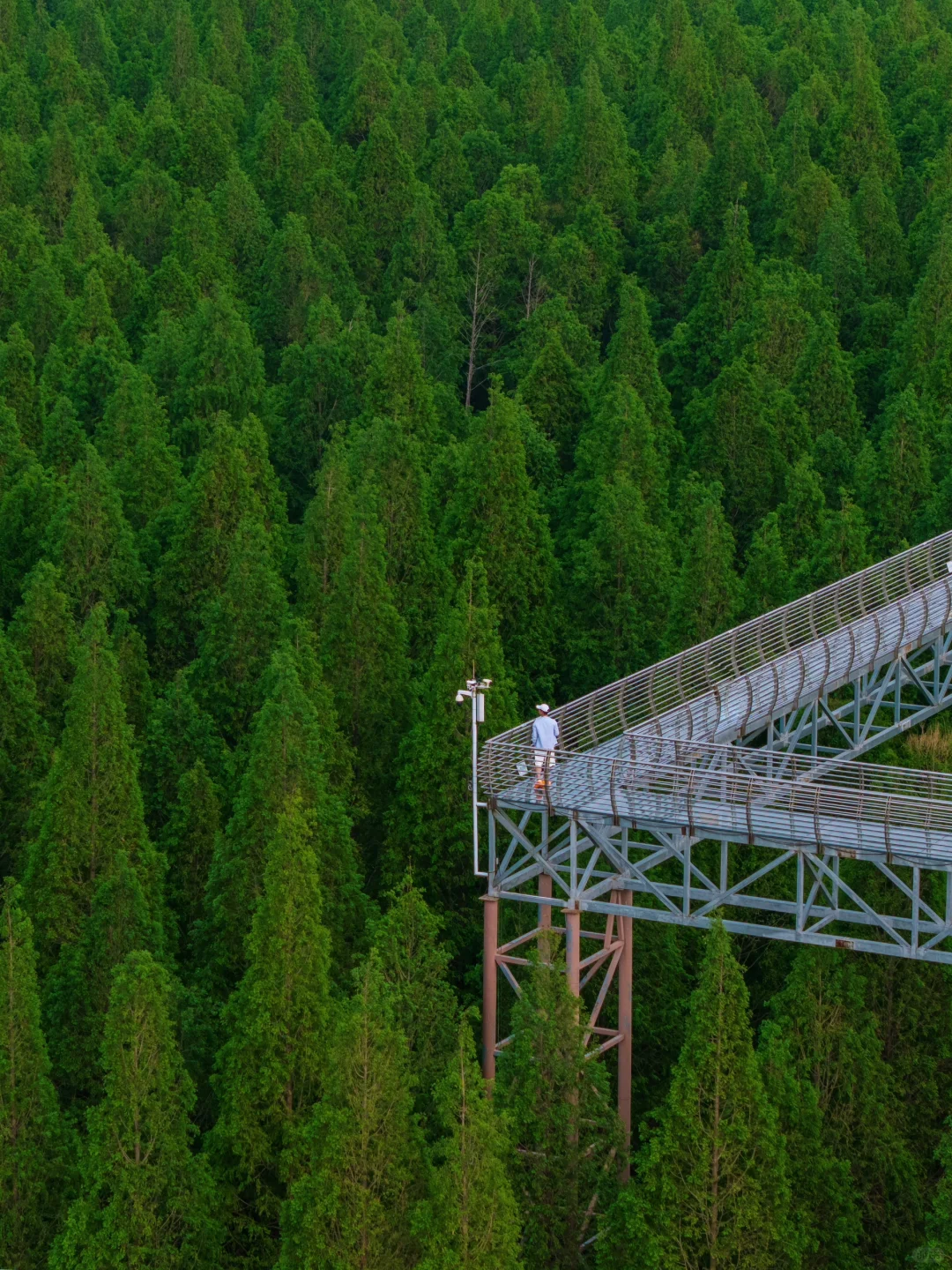 反向旅游‼️这才是淮安被严重低估的绿野仙踪