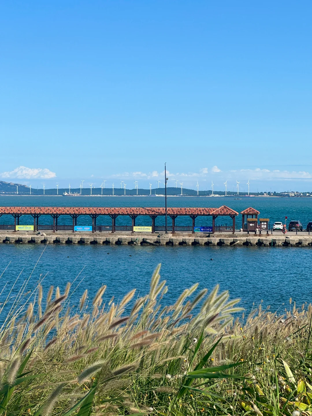 去威海不要只知道火炬八街了!!