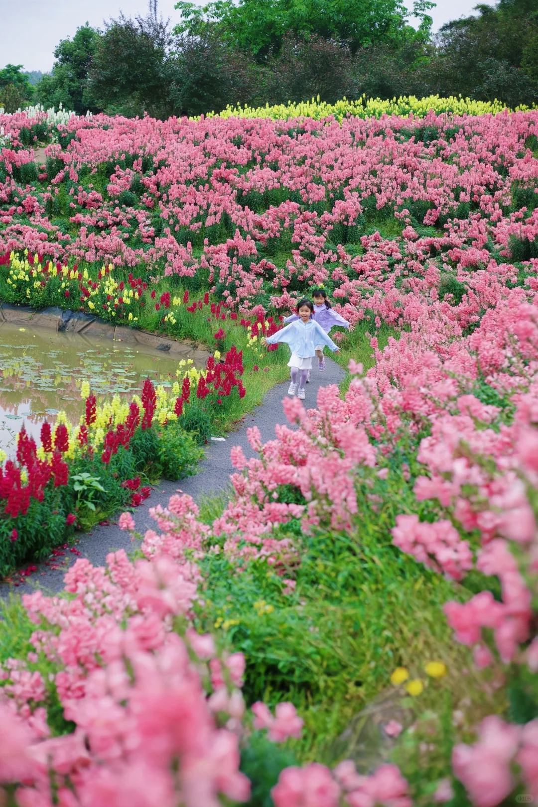 五一假期山城好去处🌷请留1️⃣天给这里‼️