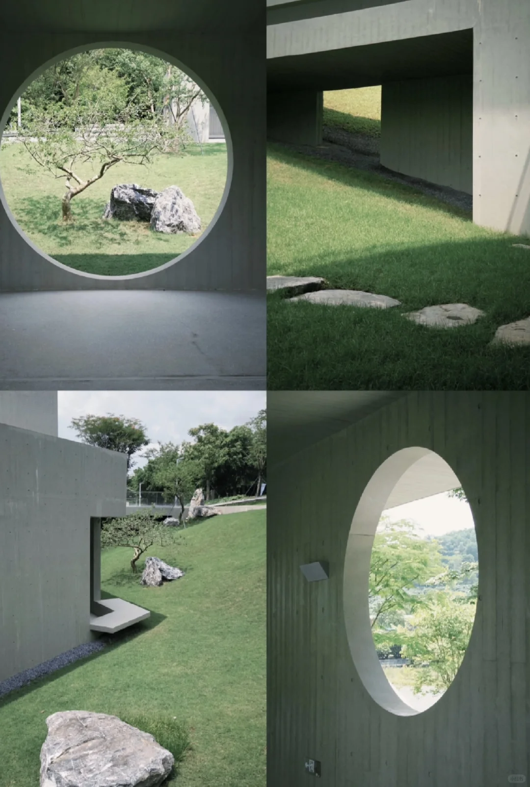 光明五一假期去哪玩？虹桥公园攻略请收好！