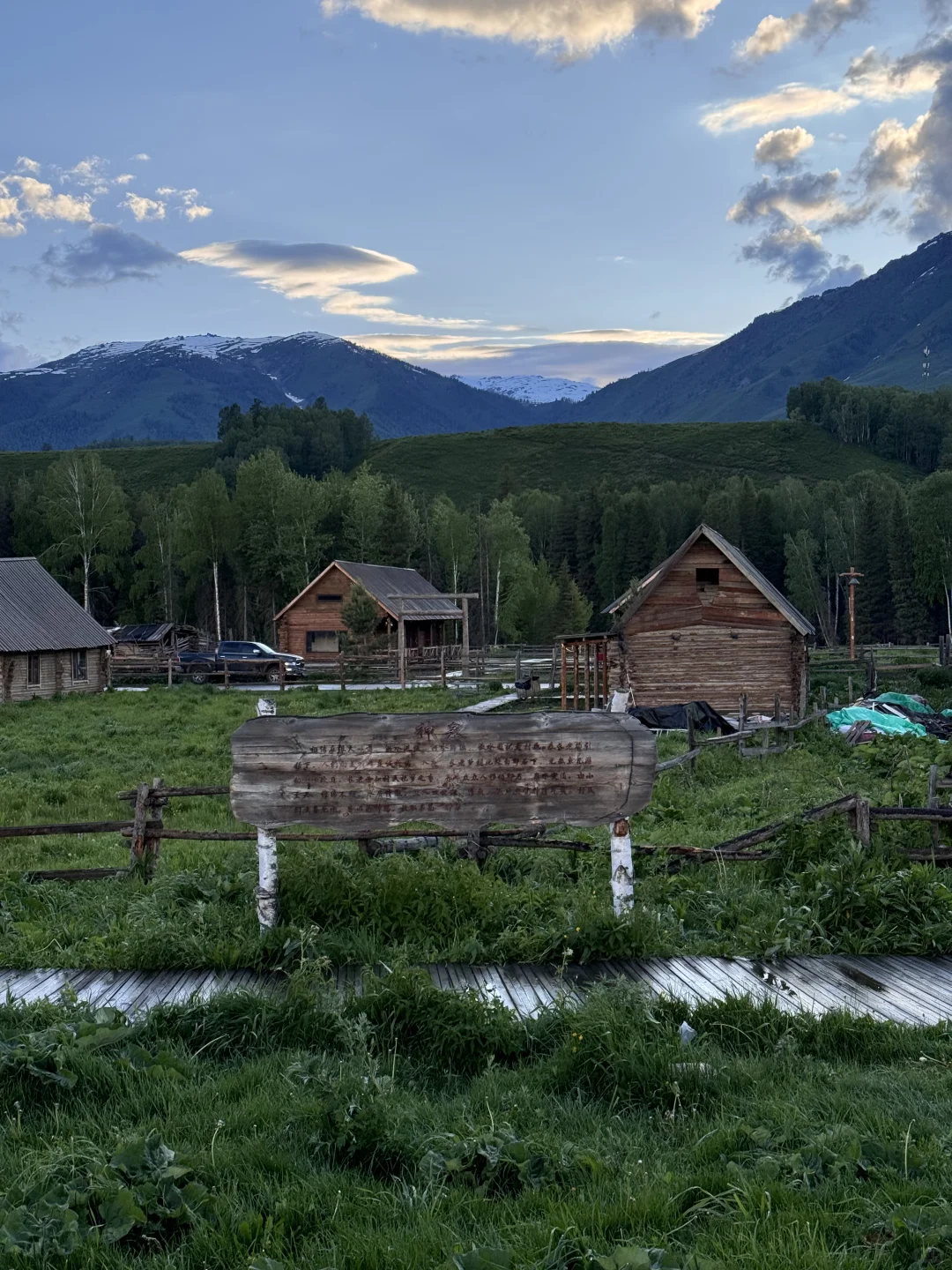 五月底的阿勒泰live