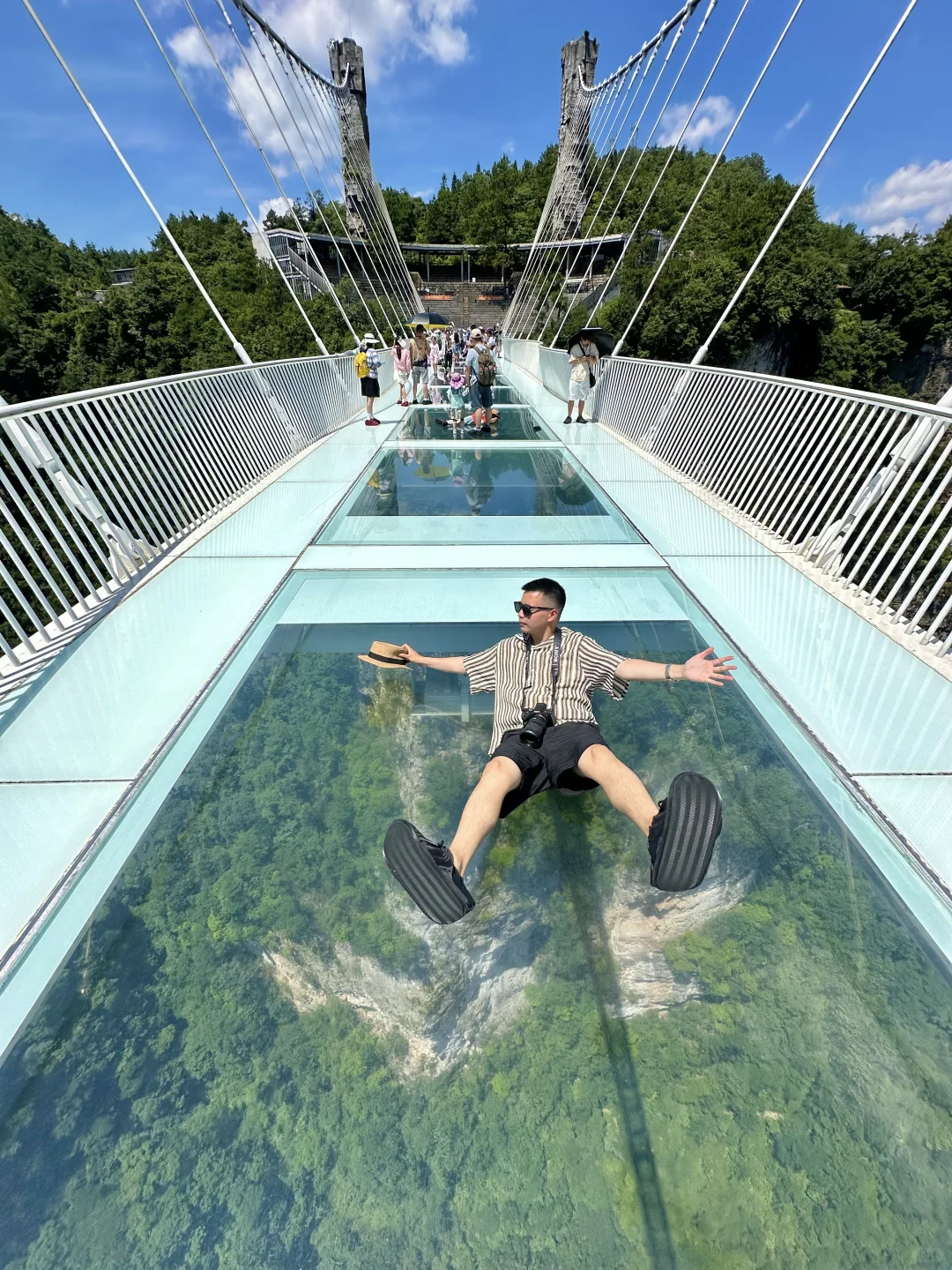 Live图！没去天门山是张家界最正确的选择！