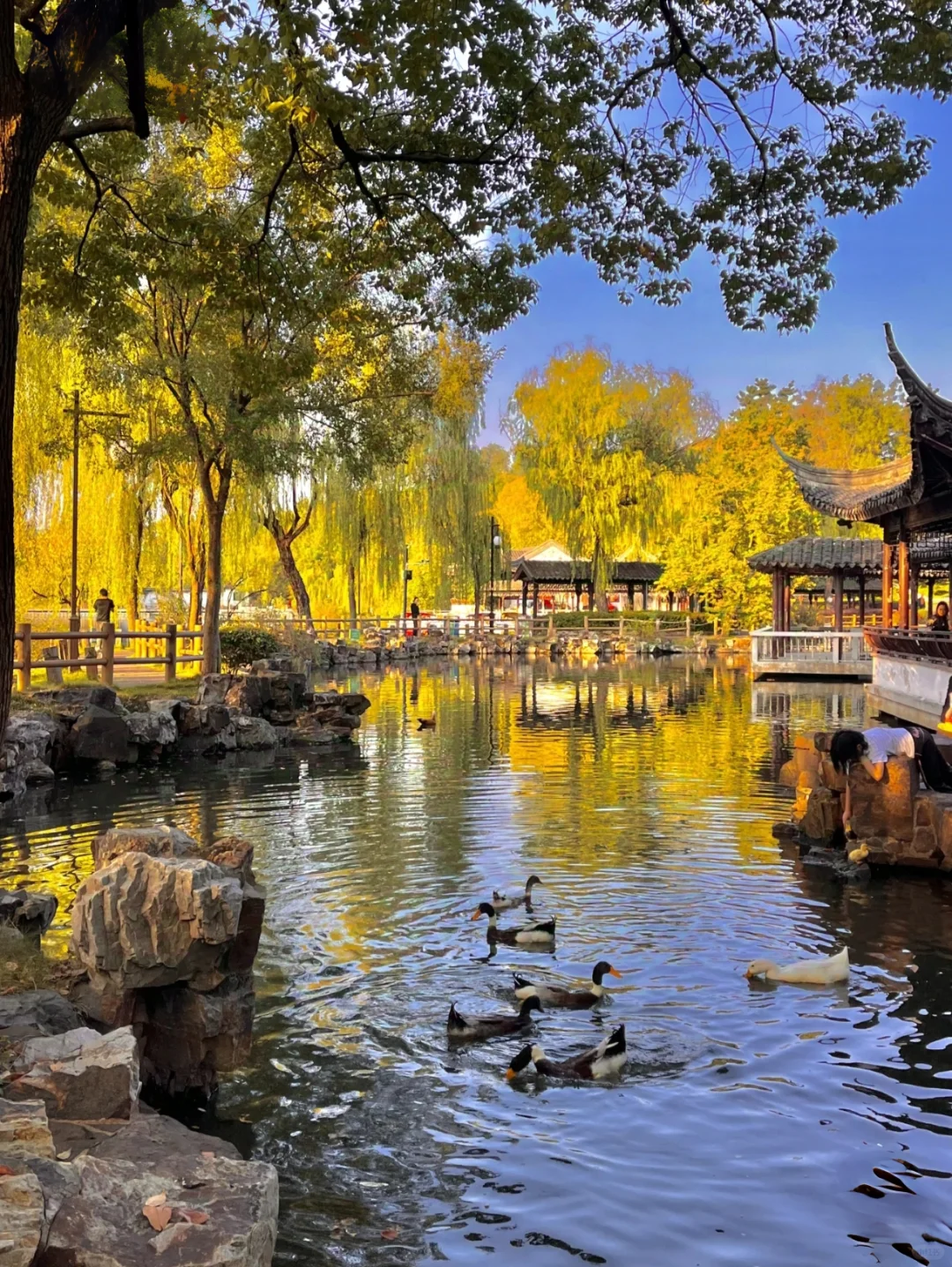 江南春日，苏州限定浪漫之旅