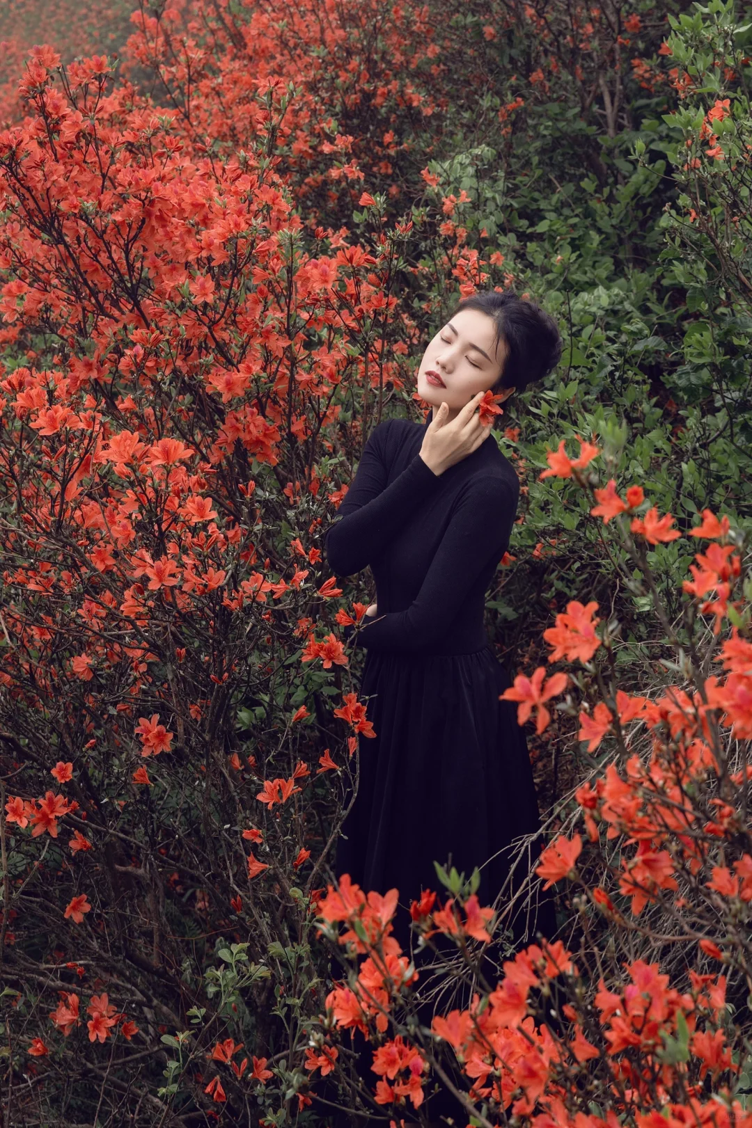 五一反向旅游,松弛感拉满的映山红秘境