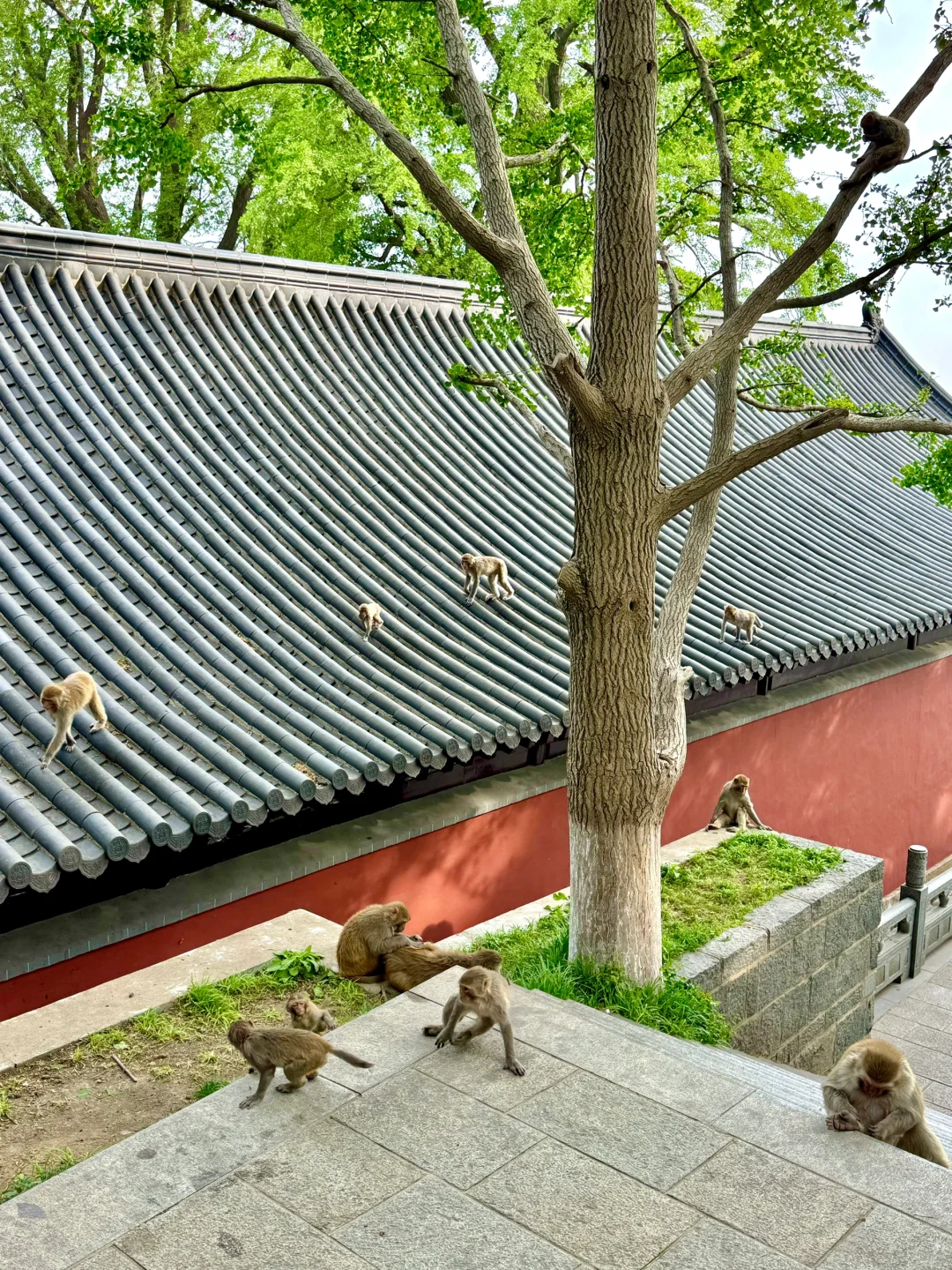 迄今为止,我蕞喜欢的宝藏旅行地出现了…live