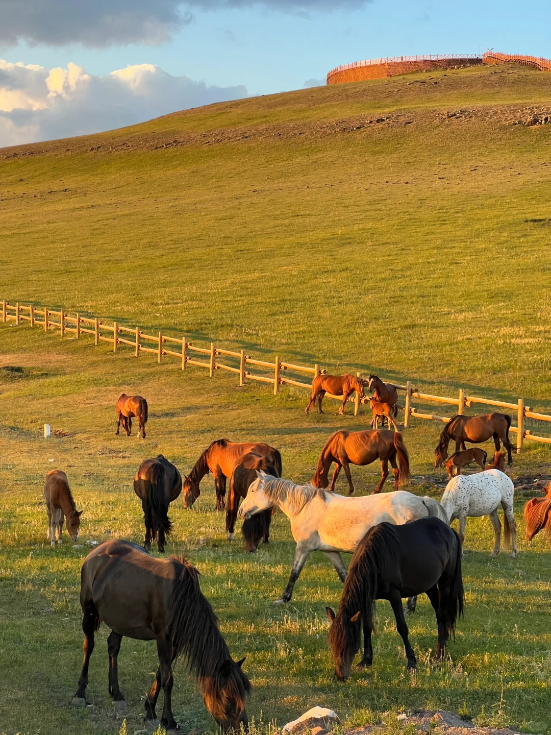 开始攒钱！！夏天再去一次呼伦贝尔！！