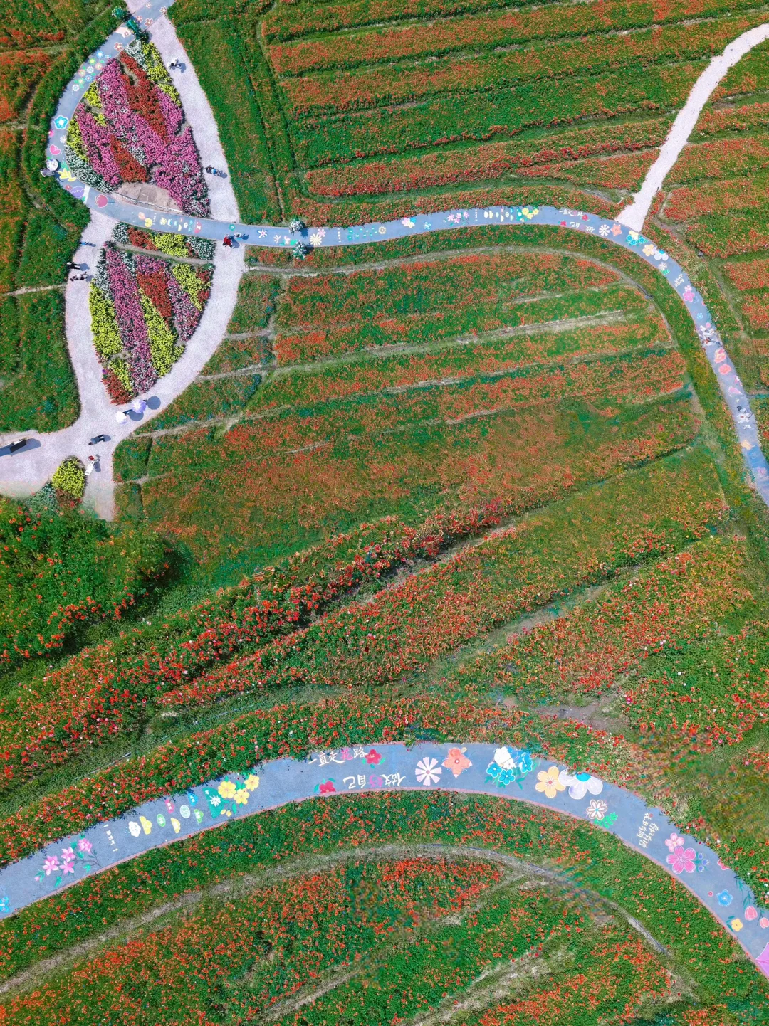 灵山杭城版去有风的地方🍃