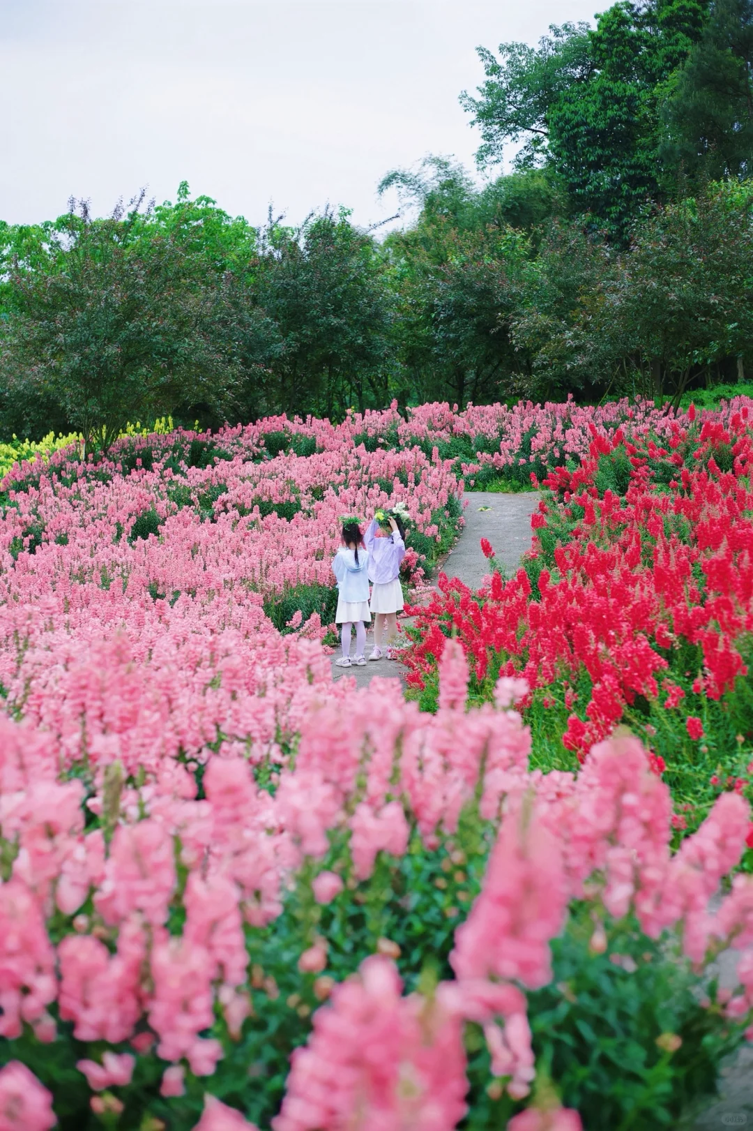 五一假期山城好去处🌷请留1️⃣天给这里‼️