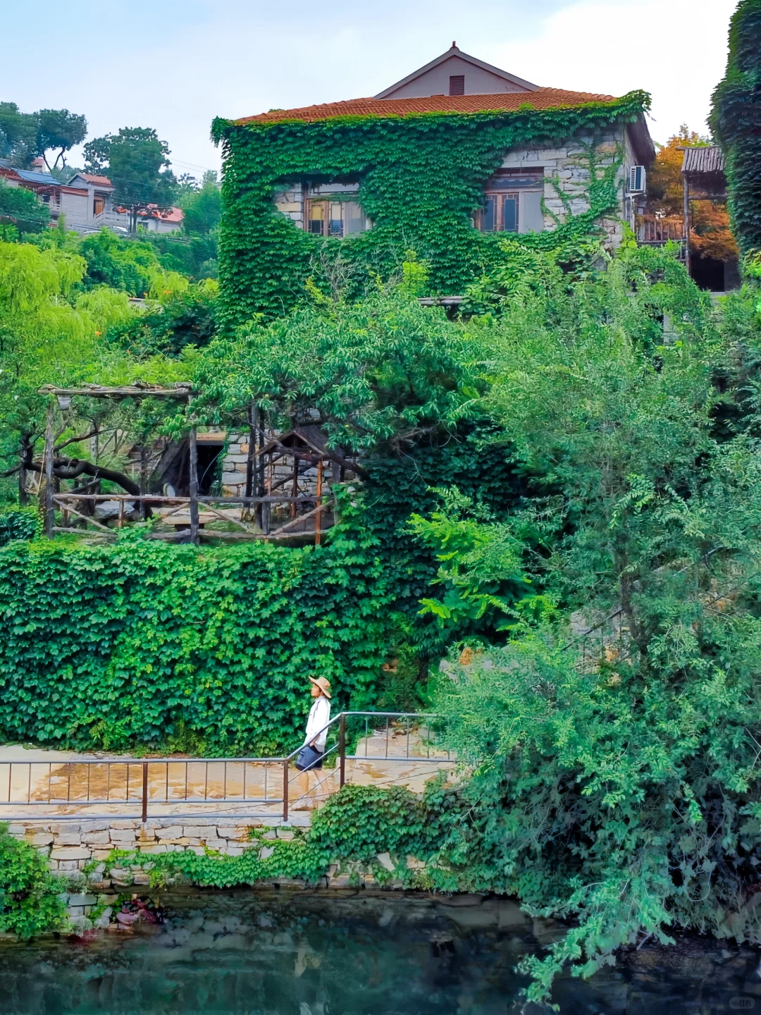 藏于山东深山的世外桃源🍃大自然空调真香