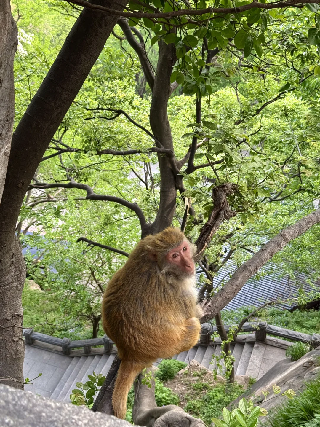 迄今为止,我蕞喜欢的宝藏旅行地出现了…live