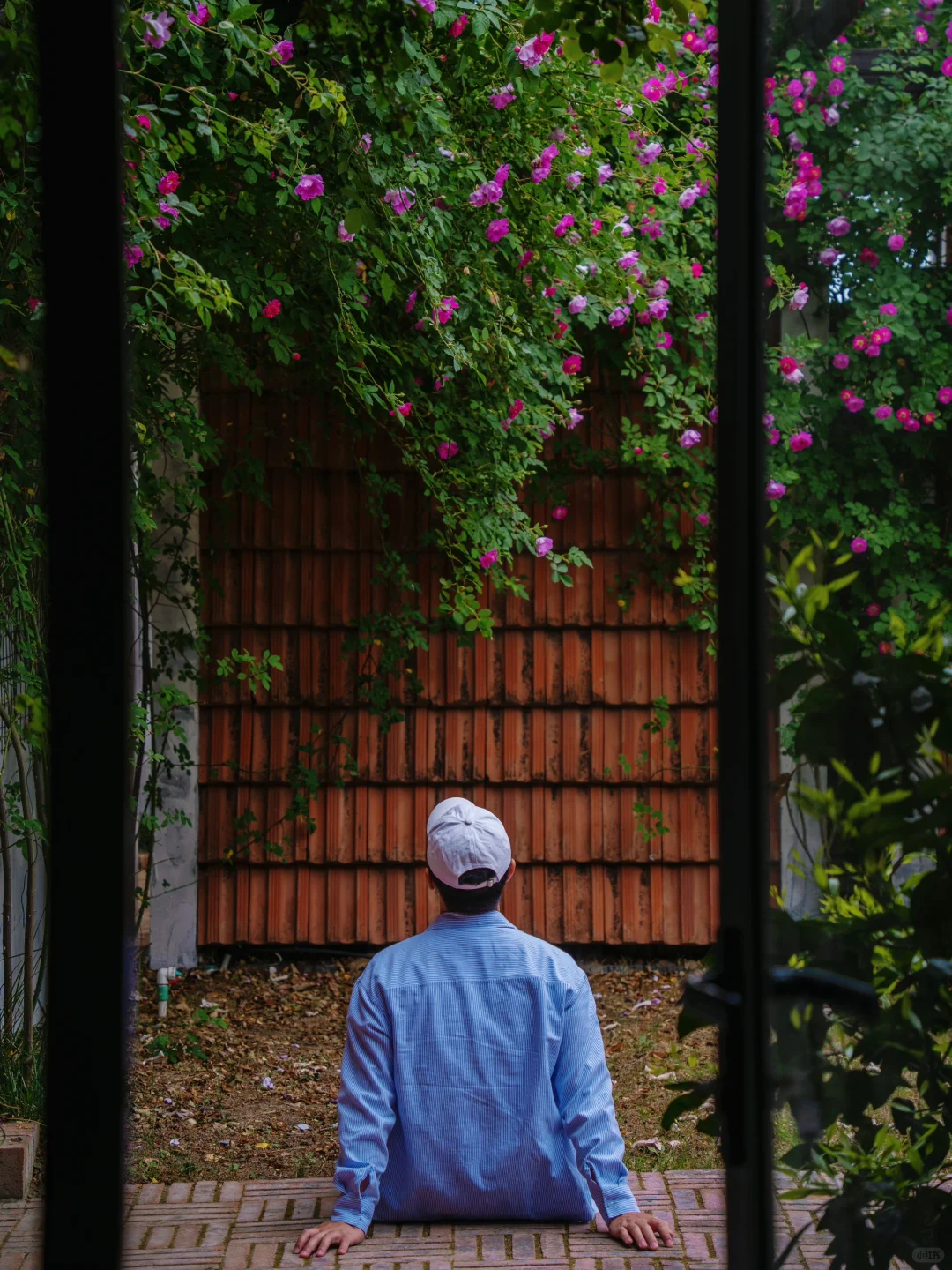 反向旅游‼️这才是淮安被严重低估的绿野仙踪