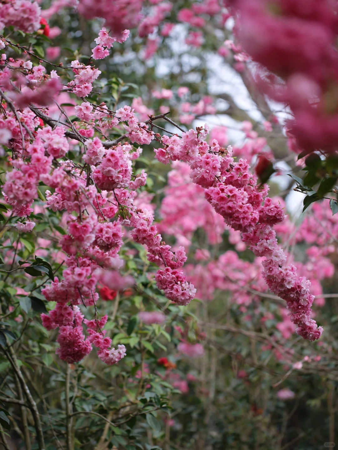 不敢想象，怎么会有这么美的地方🤩❗️❗️