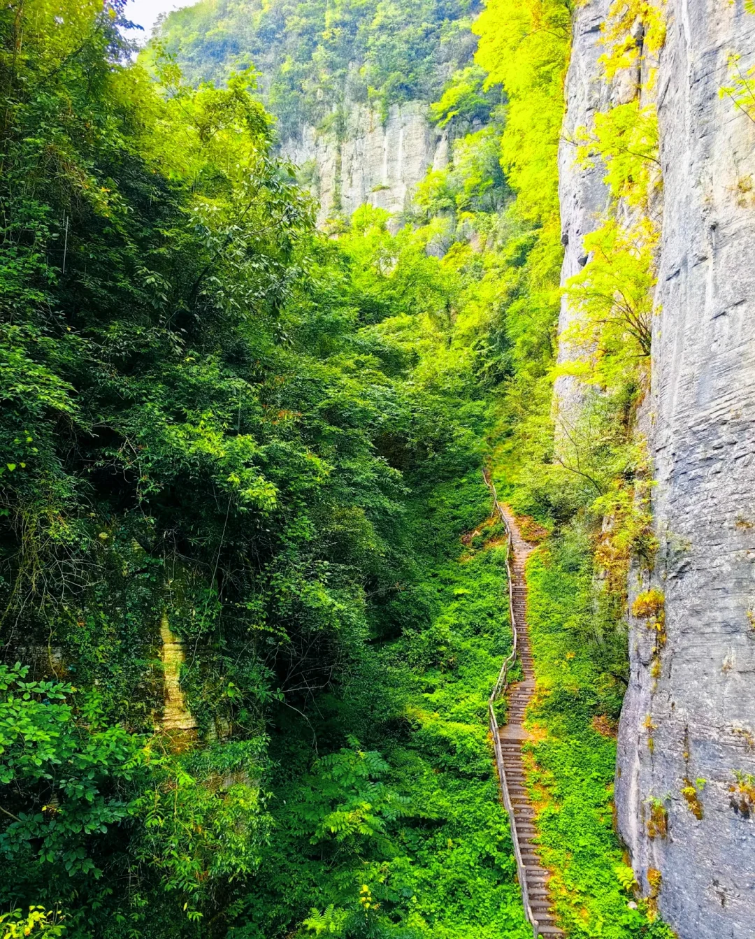 探秘“地球最美伤痕”——恩施大峡谷