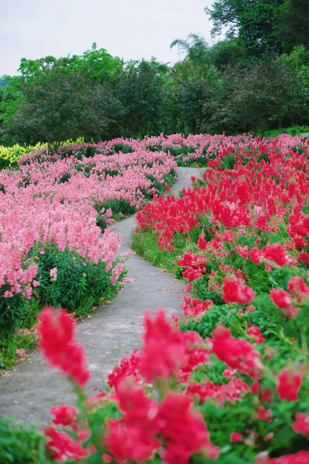 五一假期山城好去处🌷请留1️⃣天给这里‼️