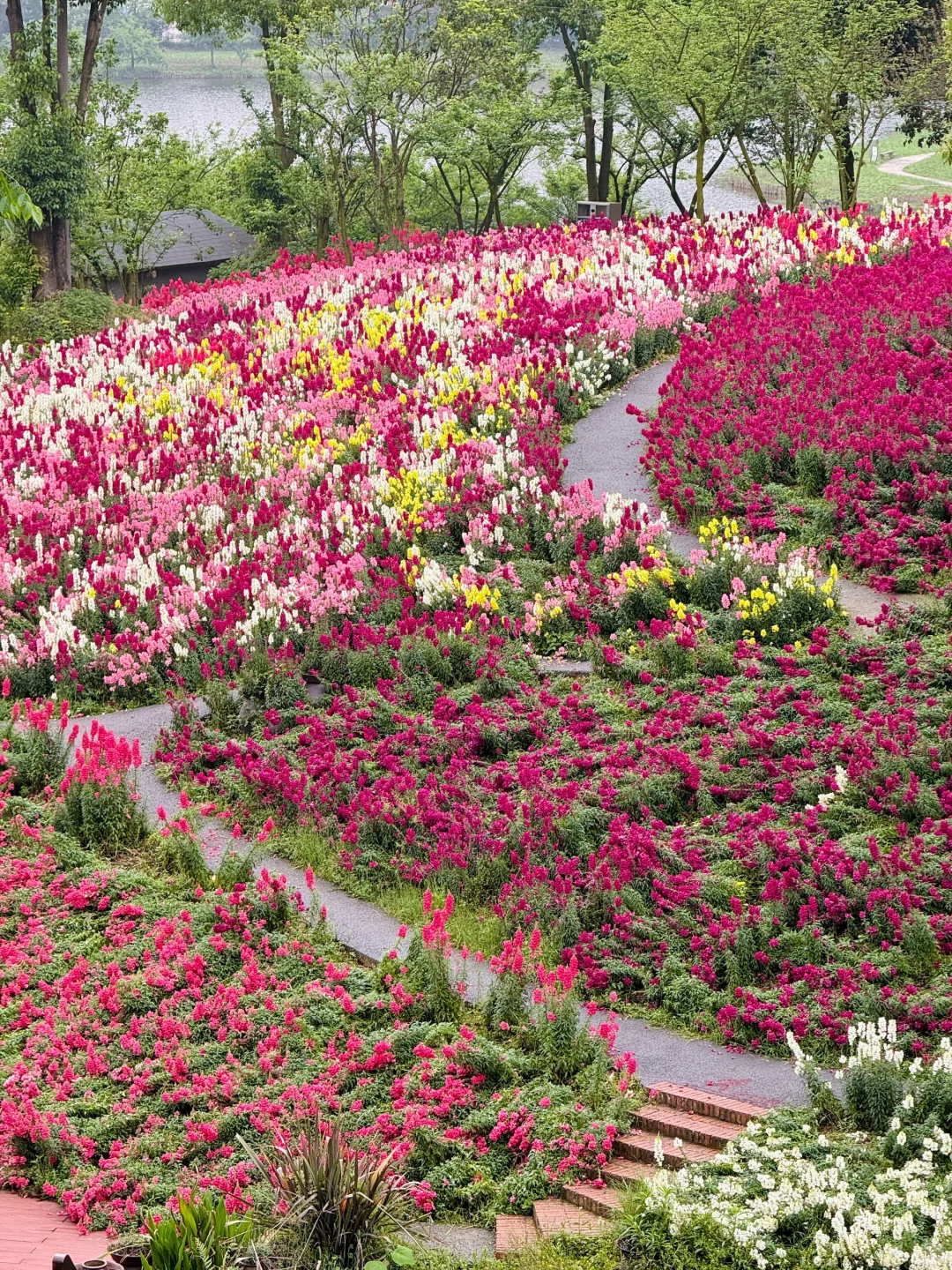 五一假期山城好去处🌷请留1️⃣天给这里‼️