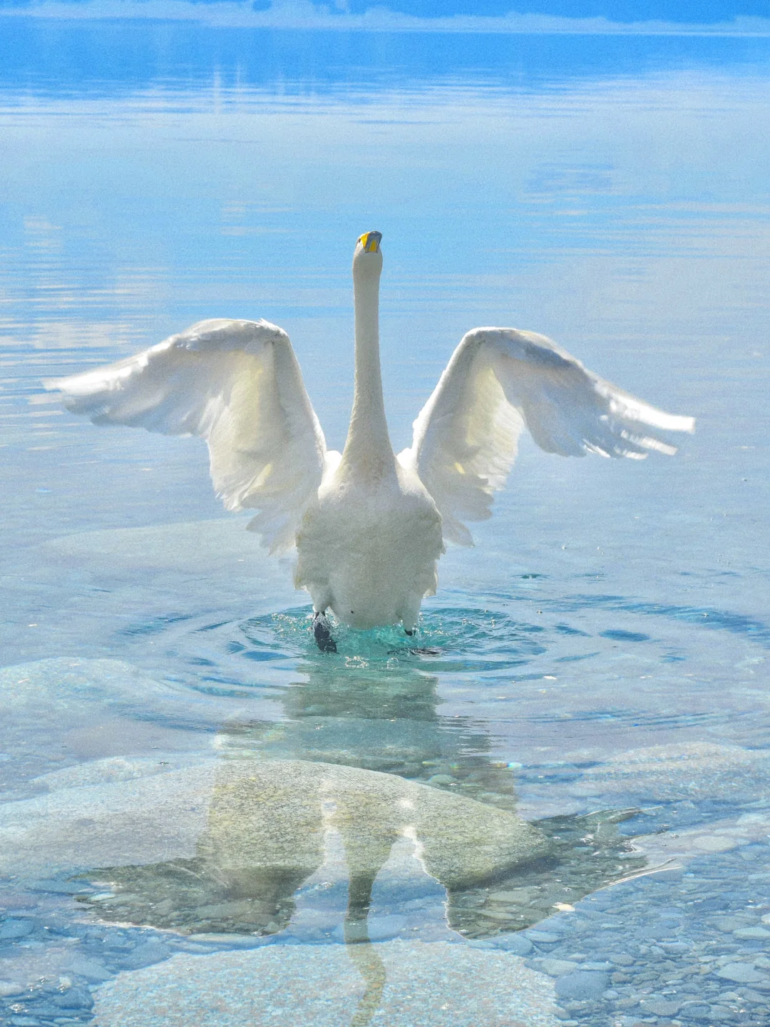 接下来几个月的新疆，每一张都是童话世界！！！