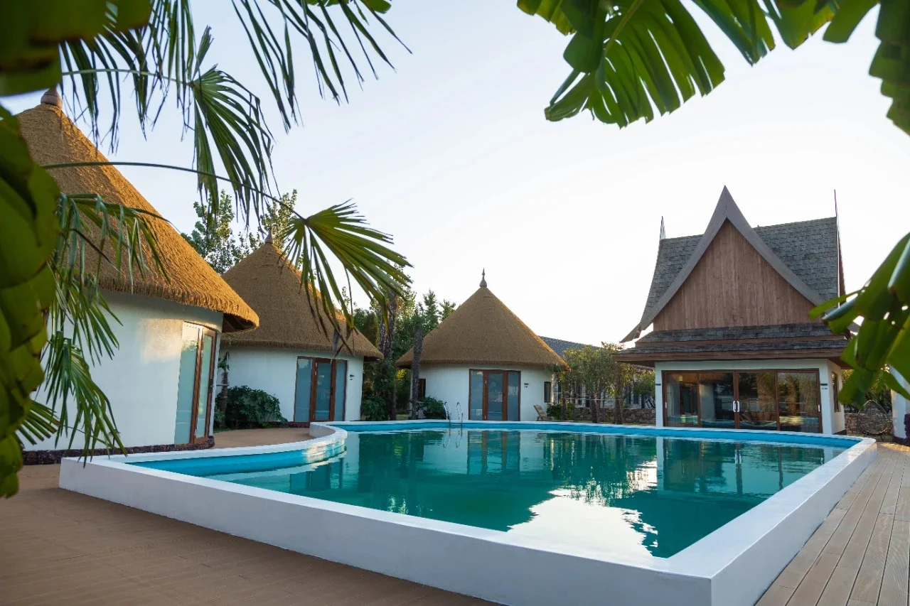 这里不是荷兰！是临沂！！！！