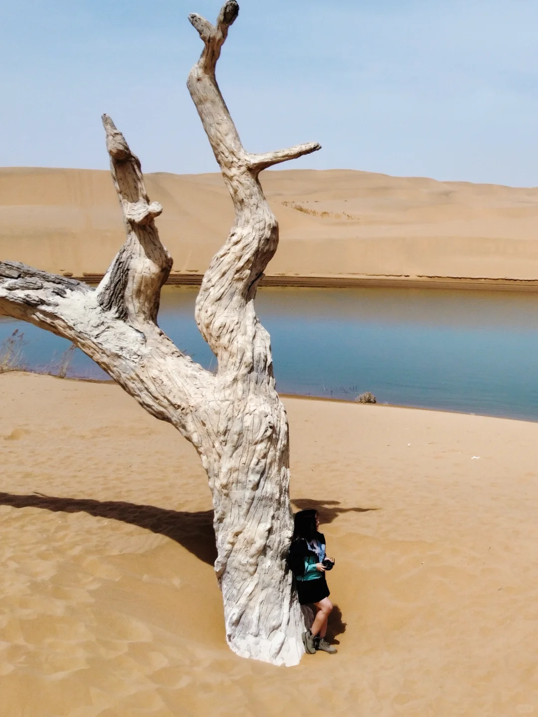 乌海2日游｜快乐就是到沙漠里看海