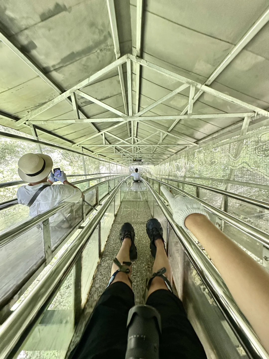 Live图！没去天门山是张家界最正确的选择！