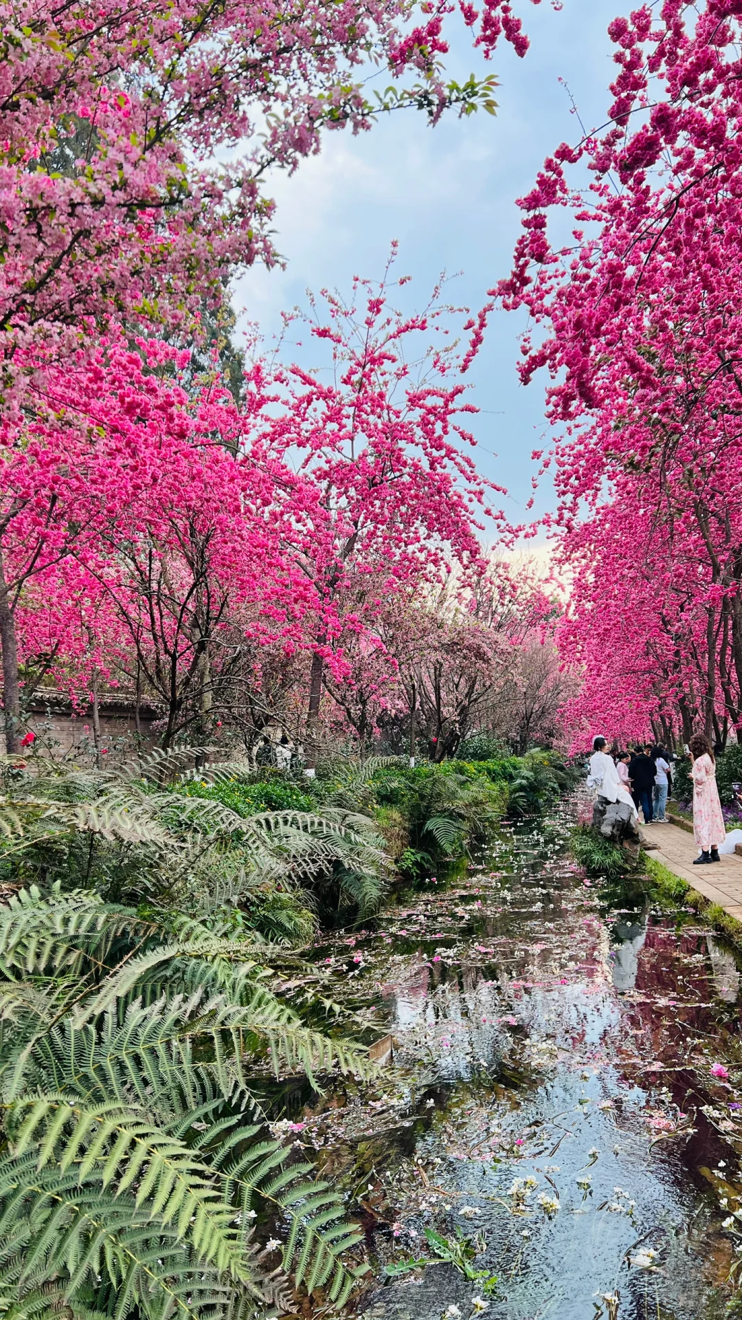 不敢想象，怎么会有这么美的地方🤩❗️❗️