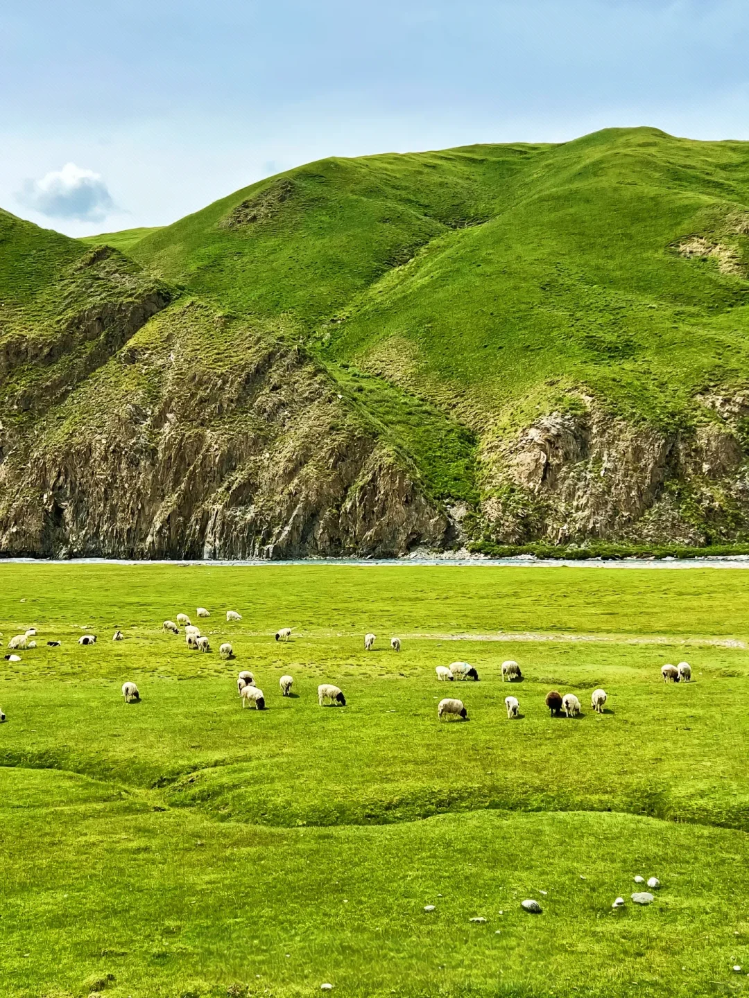 四月新疆 | 赴一场春日限定的梦幻之约🌸