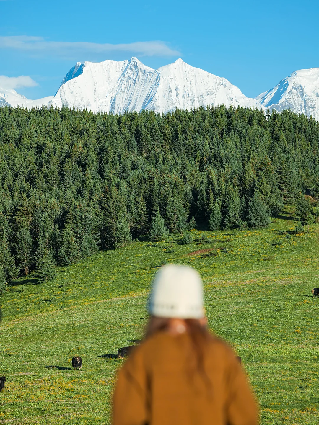 川西的夏天,是宫崎骏的童话世界🎨