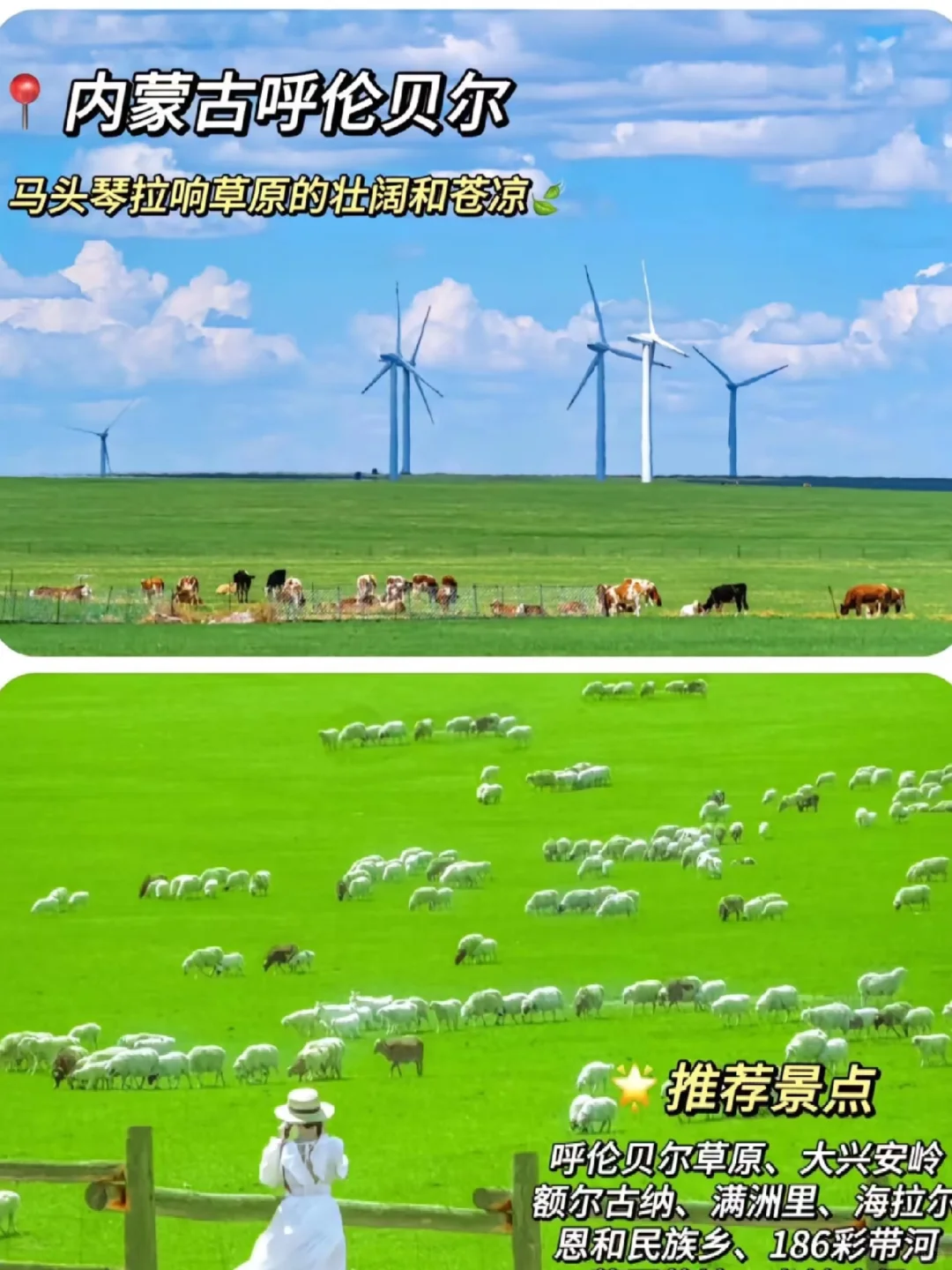 五一别瞎选🙌🏻总有一个能戳中你的心巴