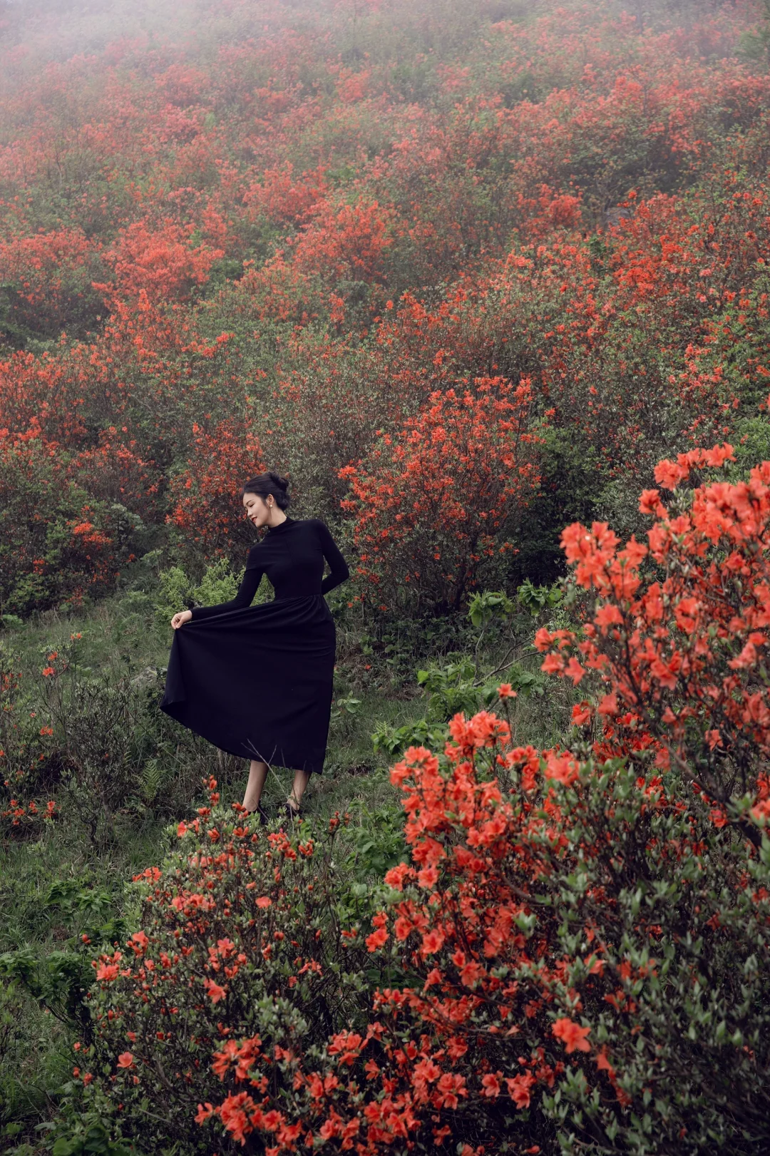五一反向旅游,松弛感拉满的映山红秘境