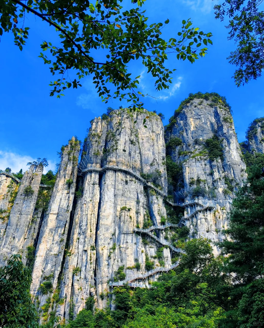 探秘“地球最美伤痕”——恩施大峡谷