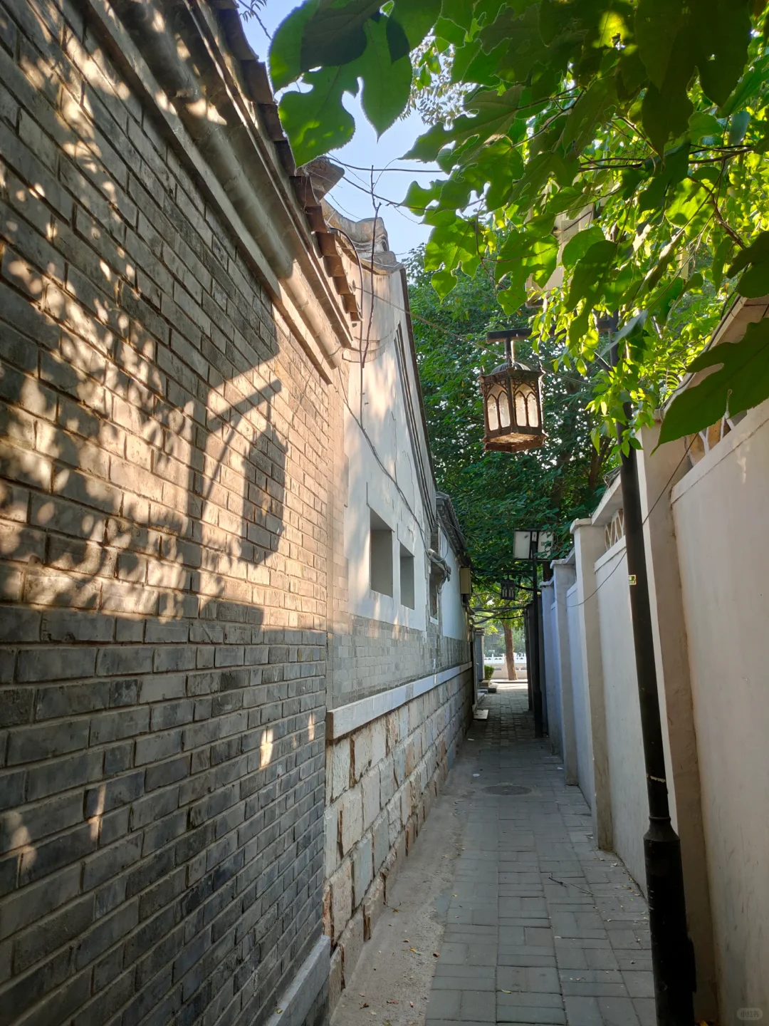 从北京回来啦!穷游😂