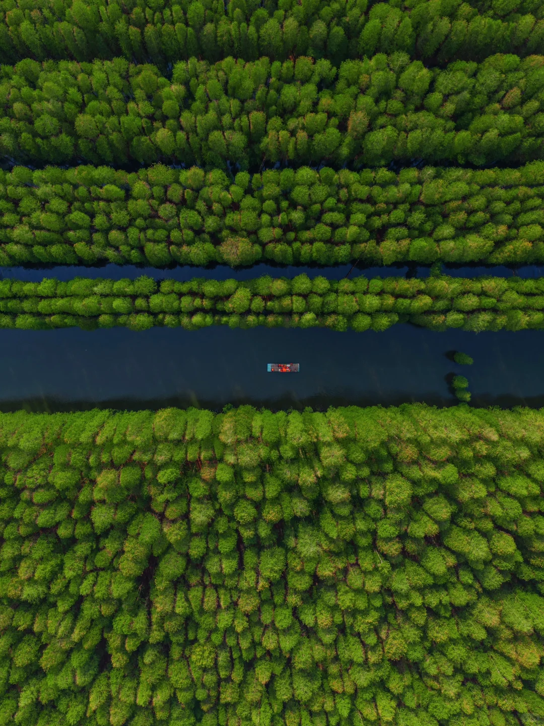 反向旅游‼️这才是淮安被严重低估的绿野仙踪