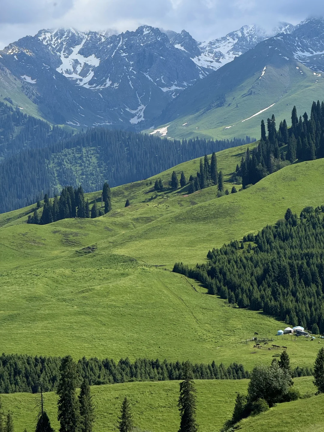 五月底的阿勒泰live