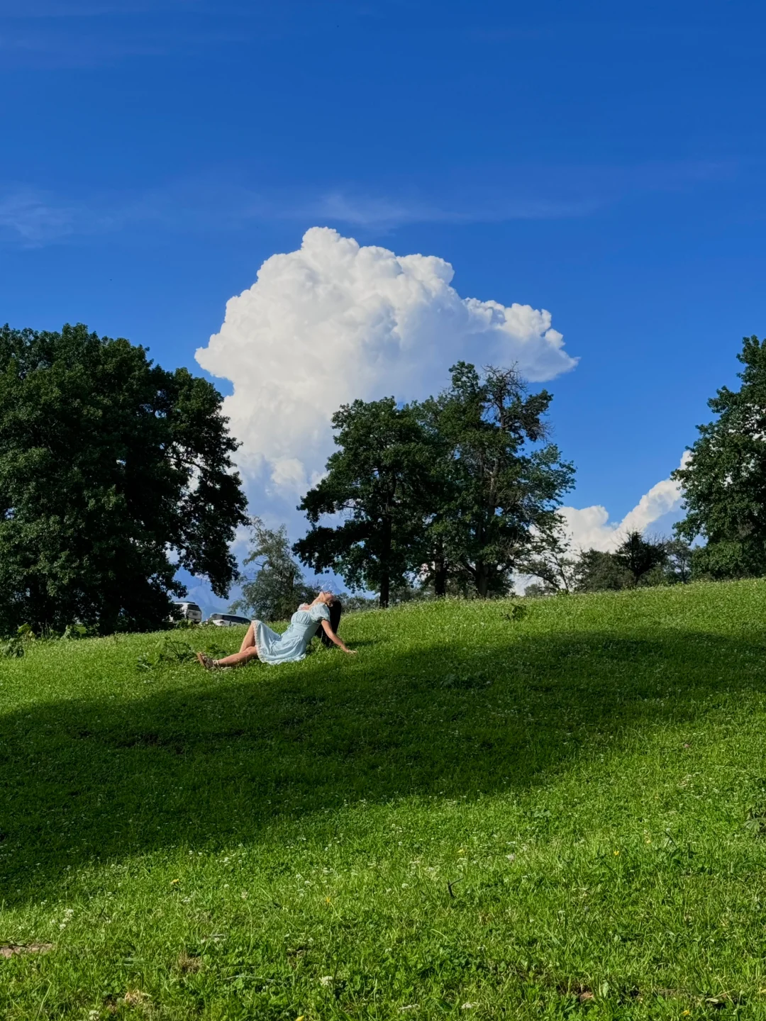 在新疆拍到了我的人生live图～🌳🌳