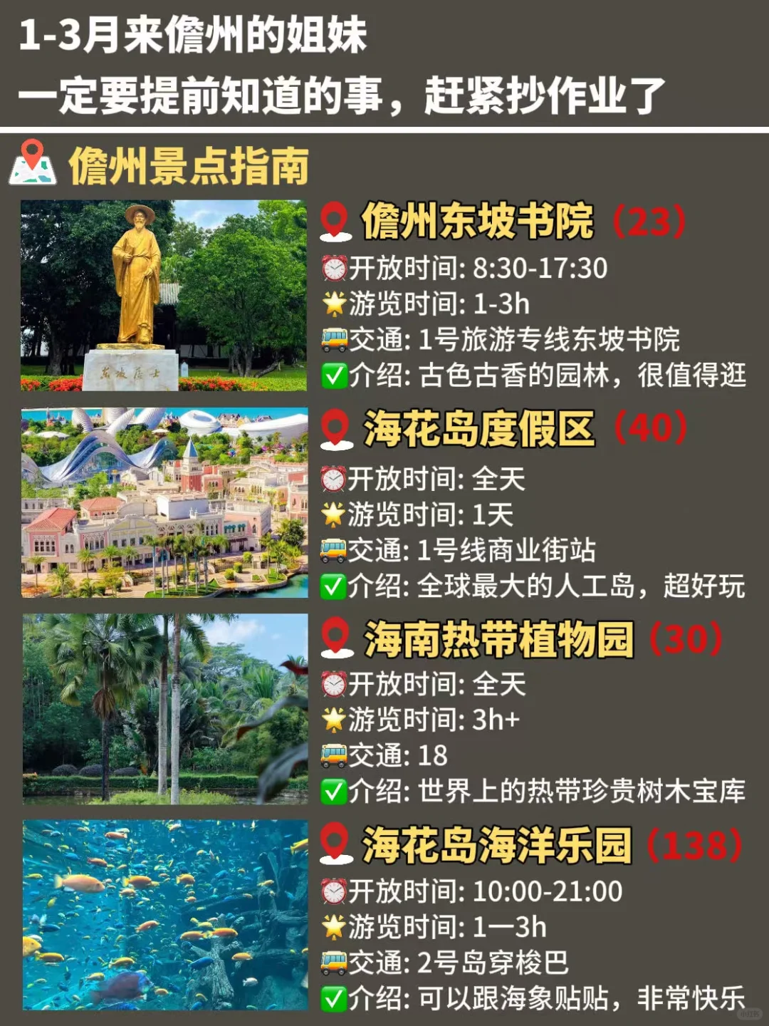 去儋州旅游三次了😭我的建议是…