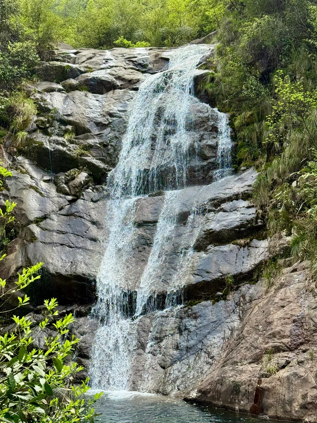 Live实况‼️小红书跟风最成功的一次！！