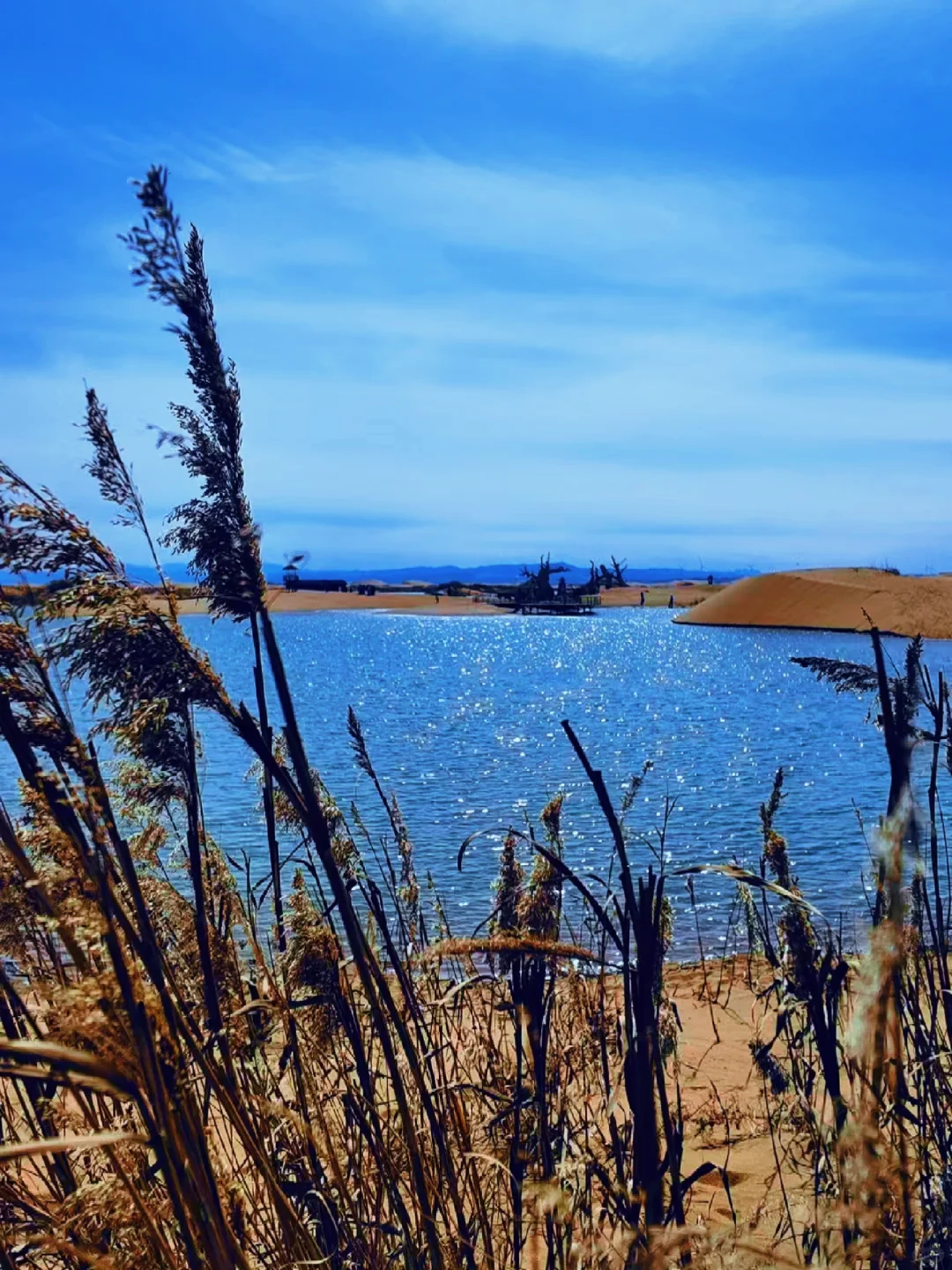 📍乌海｜04男大五一反向穷游宝藏小城🔥